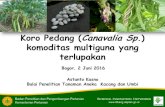 Koro Pedang (Canavalia Sp.) komoditas multiguna yang ...pangan.litbang.pertanian.go.id/files/seminar/2016/SR02062016.pdf · mendatang dapat digunakan sebagai komoditas alternatif