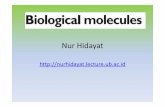 Nur Hidayat - endrikawidyastuti · 10/2/2015 · Tugas Individu • Buat review dari jurnal tentang salah satu material biologik (karbohidrat, Protein, ataupun lipid) pada suatu produk