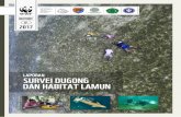[DUGONG DAN HABITAT LAMUN] - …d2d2tb15kqhejt.cloudfront.net/downloads/full_report_dugong_alor... · Contoh-contoh lamun tersebut diberi tanda (label ... Survei Kuesioner Survey