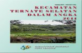 Katalog BPS 1403.8271 - …sampel.malut.litbang.pertanian.go.id/assets/file/TERNATE_SELATAN... · Kecamatan Ternate Selatan Dalam Angka 2011 Kecamatan Ternate Selatan Dalam Angka