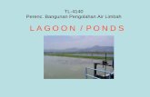 TL-4140 Perenc. Bangunan Pengolahan Air Limbahkuliah.ftsl.itb.ac.id/wp-content/uploads/2016/10/5.-LAGOON-PONDS.pdf · • K = konstanta removal rate, d-1: (0,25-1) ... (Drying Area)