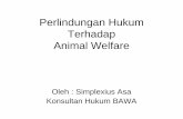 Perlindungan Hukum Terhadap Animal Welfare · kebijakan kriminal yang ada dalam dalam peraturan perundang-undangan; 3. Mencari upaya dan terobosan dalam implentasi animal welfare
