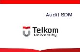Audit SDM · Pengertian Audit SDM: Pemeriksaan dan penilaian secara sistematis, objektif dan terdokumentasi terhadap fungsi-fungsi organisasi yang terpengaruh oleh manajemen SDM