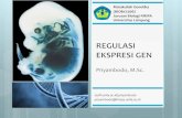 REGULASI EKSPRESI GEN - Universitas Lampungstaff.unila.ac.id/.../files/2016/05/10052016Regulasi-Ekspresi-Gen.pdf · Regulasi ekspresi gen pada prokariotik lebih ... Fungsi : memberikan