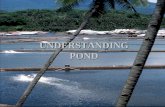 UNDERSTANDING POND - amhariati.lecture.ub.ac.idamhariati.lecture.ub.ac.id/files/2012/04/pond-pH.pdf · Faktor yg mempengaruhi ... – Menyebabkan reaksi asam dalam air yang menghasilkan