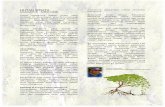 HUTAN WISATA - inhutani1.co.idinhutani1.co.id/wp-content/uploads/2017/10/HUTAN... · suatu cara adaptasi terhadap habitat yang khusus pula. Hutan Mangrove yang berada di Kelurahan