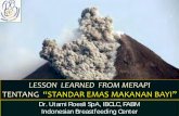 Dr. Utami Roesli SpA, IBCLC, FABM Indonesian … Utami - IFE MERAPI KLATE… · Angka morbiditas anak 1 sp 4 thn 3 kali lebih tinggi dari ... BP, Poskesdes. žTenaga ... (Poster,