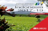 Tinjauan Kebijakan Pertumbuhan Hijau Indonesia 2017-19 · z Mendorong terjalinnya dialog antar negara dan pembelajaran sejawat. z Mendorong akuntabilitas publik yang lebih besar dan