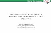 VACUNAS UTILIZADAS PARA LA PREVENCION DE ENFERMEDADES EQUINASveterinaria.org/revistas/vetenfinf/equino/vacunasmb.pdf · VACUNAS UTILIZADAS PARA LA PREVENCION DE ENFERMEDADES EQUINAS