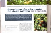 riegos.ivia.esriegos.ivia.es/ficheros/recursos/granado2_riego_optimo_granado_.pdf · nización para la Agricultura y la Alimen- ... (FAO). Sin embargo, para el cultivo del granado