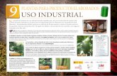 9 USO INDUSTRIAL PLANTAS PARA PRODUCTOS … · e consideran plantas de uso industrial todas aquellas que, tras la recolección de la ... Normalmente dichas especies se cultivan de