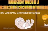 DR. LUIS RAUL MARTINEZ GONZALEZ - perinatal.sld.cu · la velocimetria doppler da la informacion mas importante para diferenciar el feto con ... efecto de ahorro del cerebro. arteria