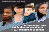 Información para adolescentes marihuana · facilidad que existe para obtener la droga, la vida hogareña y familiar y ... THC presente en la marihuana es lo que determina su potencia