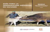 GUÍA PARA LA REDESA INSEMINACION ARTIFICIAL …infolactea.com/wp-content/uploads/2015/03/BVCI0002644.pdf · La crianza del ganado vacuno en Puno es En este contexto, ... Anatomía