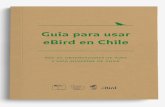 Guía para usar eBird en Chile - redobservadores.clredobservadores.cl/wp-content/uploads/2018/03/Guia... · ban los observadores de aves en el país, utilizando para ello planillas