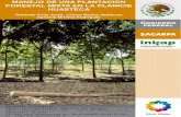 Rolando Ávila Ayala, Liliana Muñoz Gutiérrez Epifanio ... · para árboles de melina a los seis años de establecida la plantación, con una intensidad ... 7 Ejemplo de cubicación