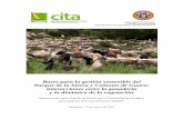 Bases para la gestión sostenible del Parque de la Sierra y Cañones de ...cormas.cirad.fr/pdf/Riedel_TesisDoctoral.pdf · Parque de la Sierra y Cañones de Guara: interacciones entre
