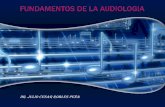 DR. JULIO CESAR ROBLES PEÑAfenastac.org.mx/wp-content/uploads/2017/09/FUND.AUDIO_.pdf · 2017-09-28 · BASES PARA LA INSTALACION DE UN PROGRAMA DE CONSERVACION AUDITIVA . ... 3M