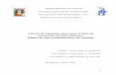 Informe de Pasantías para optar al título de Licenciado en ...bibhum-artes.ucla.edu.ve/DB/bcucla/edocs/repositorio/IPN910C32R... · conservación, promoción y difusión de las