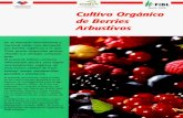 AGRC IN FUNDACI~N PARA LA AGWCULTURA ORGANIC4 … · por berries orghnicos a la que Chile puede responder aprove- chando sus ventajas compara- ... otros tipos de suelos. Es conveniente