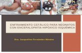 ENFRIAMIENTO CEFÁLICO PARA NEONATOS CON …neonatologosyucatan.org.mx/admin/uploads/filemanager/manejo-pr... · INSTITUTO DE SALUD DEL ESTADO DE MEXICO ... aEEG registro inicial