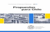 Propuestas para Chile - Centro UC Politicas Publicas · HEIDI BERNER HERRERA Subsecretaria de Evaluación Social Ministerio de Desarrollo Social. 13 ... Este tema también es pertinentemente