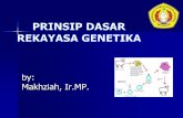 by: Makhziah, Ir.MP. - E-Learningelearning.upnjatim.ac.id/courses/MK001/document/P9-_Prinsip_Dasar... · 1987: First authorized field test of a GMO-Frostban, Adv. Genetic Sciences