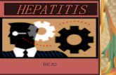 HEPATITIS - rejopras.files.wordpress.com · nekrosis pada hati Biasanya disebabkan oleh virus yaitu virus Hepatitis A, B, dan C dan virus ... dalam keadaan koma atau gagal hati akut.