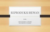 REPRODUKSI HEWAN - staff.unila.ac.idstaff.unila.ac.id/priyambodo/files/2017/05/Kelompok-11-Reproduksi... · makhluk hidup untuk menghasilkan keturunan yang baru. Tujuan Reproduksi