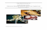 Tugas Makalah Biologi Laut · subtidal, mengonsumsi invertebrata bentik motil, meliputi siput, chiton, ... gurita sering ditemui pula di terumbu karang maupun padang lamun (Roper,