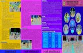 Jalan Semarang 5 Malang 65145 | Telepon +62341-551 312 ... · Pencetakan Kartu Peserta Tes Berbasis Komputer (TBK) Tes Tulis Ujian Keterampilan/Tes Khusus Pengumuman Hasil Seleksi