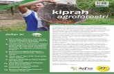 World Argoforestry Centre (ICRAF) Indonesia Volume 6 No. 3 ... · AgFor Sulawesi berupaya membantu petani dengan berbagai cara. Peningkatan kapasitas dan pengetahuan petani tentang