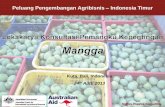 Peluang Pengembangan Agribisnis Indonesia Timur · – Praktek praktek pertanian yang lebih baik ... Puncak Panen J F M A M J J A S O N D China ... • Perkebunan input tinggi di