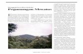 Menggali Kearifan di Kaki spp Pegunungan Meratus - Home - FWIfwi.or.id/wp-content/uploads/2014/02/IntipHutan_Februari04_all.pdf · Meratus terletak di antara 115°38’00" ... terjal