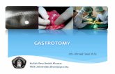 GASTROTOMY - drhfauzi.lecture.ub.ac.iddrhfauzi.lecture.ub.ac.id/files/2015/10/GASTROTOMY.pdf · Gastropexy permanen adalah melekat lambung ke dinding abdomen (Fossum, 2002). Definisi.