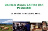 Dr. Widodo Hadisaputro, M · mampu menghambat bakteri ... esktraseluler, sistem transport peptida dan ... Senyawa bioaktif asam lemak Conjugated Linoleic Acid (CLA) Efek kesehatan