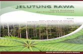 ET - World Agroforestry · PDF fileberkontribusi terhadap peningkatan emisi gas rumah kaca dari lahan gambut ... pemasangan balok di sekeliling bibit ... Harga getah jelutung turun