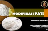 AGROINDUSTRI BASIS KARBOHIDRAT (PATI)gopanganlokal.miti.or.id/wp-content/uploads/2014/05/modifikasi... · Pre-gelatinized Starches Use: Pudding dan makanan bayi Dehydrated gelatinized