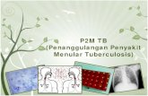 P2M TB (Penanggulangan Penyakit Menular Tunerculosis)fk.uns.ac.id/static/filebagian/P2M_TB_(pembekalan).pdf · P2M TB (Penanggulangan Penyakit Menular Tuberculosis) Masalah Utama