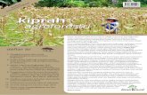 World Agroforestry Centre (ICRAF) Indonesia Volume 8 No. 1 ... · pohon dengan tanaman lain dan/atau ternak ... Konsekuensi-konsekuensi ekologi seperti banjir, longsor, serangan hama