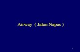 Airway ( Jalan Napas ) - indohcf.com · Penyebab sumbatan jalan napas paling sering : pangkal lidah yang jatuh ke belakang Korban tak sadar jangan diberi bantal, jangan diganjal bahu.