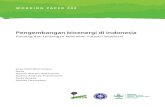 WORKING PAPER 242 · Working Paper 242 Pengembangan bioenergi di Indonesia Peluang dan tantangan kebijakan industri biodiesel Arya Hadi Dharmawan Pusat Studi Pembangunan Pertanian