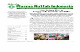 Media Komunikasi Komisi Nasional Plasma Nutfah · bunga yang ungu, putih, dan polos pada Spathoglottis, persilangan anta- ... tegak serta jumlah kuntum bunga banyak. Deskripsi anggrek
