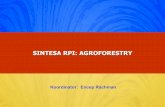 SINTESA RPI: AGROFORESTRY - forda-mof.org · 1. Upaya-upaya apa yang diperlukan untuk mengoptimalkan produktivitas lahan pada berbagai sistem agroforestry ? 2. Faktor-faktor sosial,