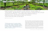 PENGELOLAAN LAHAN GAMBUT TANPA BAKAR DENGAN … · Oleh: Indra Nugraha Berbagai tanaman sayur tumbuh subur di lahan se- luas 1,75 hektar di wilayah Kalampangan, Palangka Raya. Selain