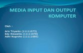 Oleh : Aris Triyanto (11111073) Edy Riswanto (11111078 ...sidiq.mercubuana-yogya.ac.id/wp-content/uploads/2013/05/Kel5_22... · Media input berfungsi untuk memasukkan data dari luar