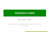 KINDOM FUNGI - suaidinmath.files.wordpress.com · Ciri-ciri Fungi ?? (10 mnt) •Tidak memiliki klorofil tdk berfotosintesis •Heterotrof •Tubuh tersusun oleh benang-benang halus