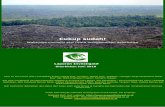 Cukup sudah! · Industri sawit mengakibatkan deforestasi parah di Indonesia. Analisa citra satelit oleh EoF ... Sumatera merupakan lokasi produksi utama minyak sawit untuk Grup 4
