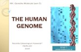 BAB IX THE HUMAN GENOME - staffnew.uny.ac.idstaffnew.uny.ac.id/upload/197810222010122001/pendidikan/2the-human... · 2. Pada famili lain, gen tersebar di dalam genom. Contoh : 5 anggota