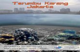 Terumbu Karang Jakarta - terangi.or.idterangi.or.id/lama/publications/pdf/tkj-web.pdf · TERUMBU KARANG JAKARTA Laporan Pengamatan Jangka Panjang Terumbu Karang Kepulauan Seribu (2004